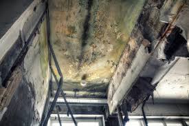 Best HVAC Mold Inspection and Cleaning  in Redland, TX